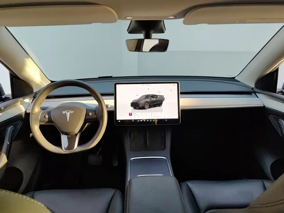 Tesla Model Y — миниатюра 12