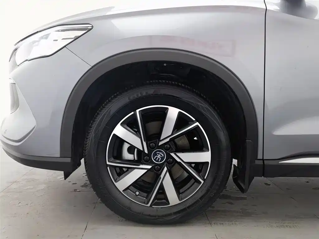 BYD SONGJIANG NEW ENERGY