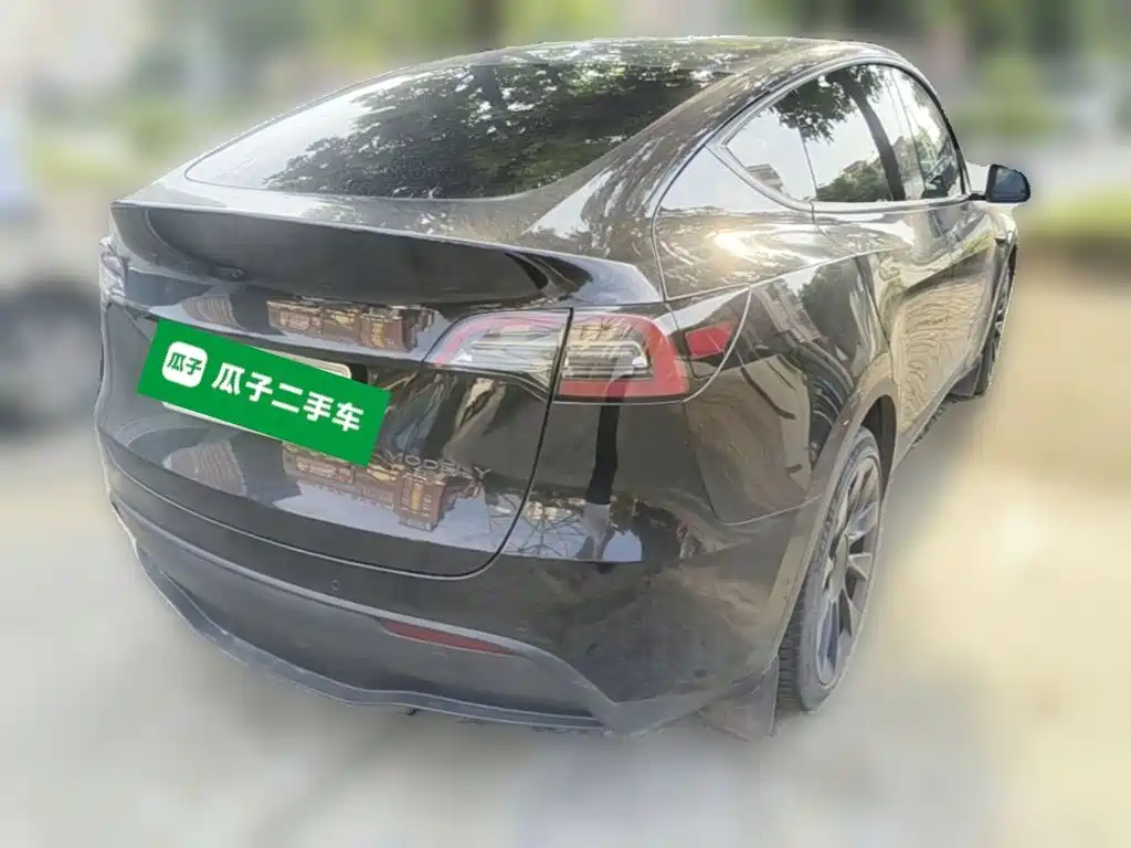 Tesla Model Y — миниатюра 10