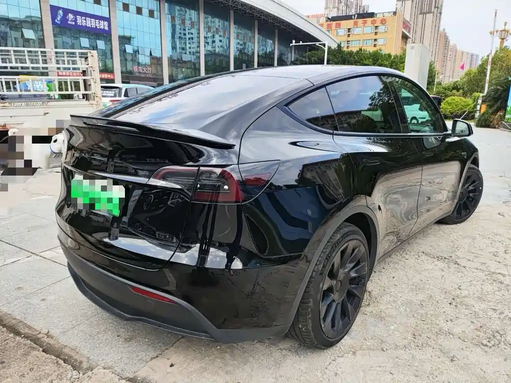 Tesla Model Y — миниатюра 7