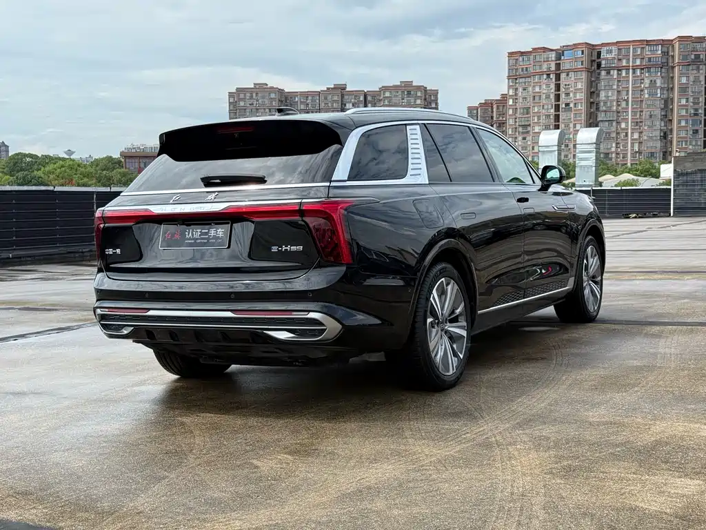 Hongqi Hongqi E-HS9 — миниатюра 4