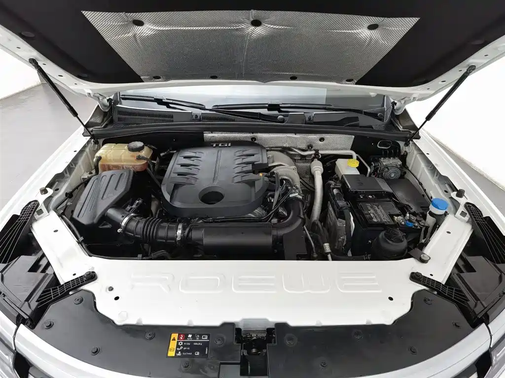 Roewe RX8 2019 30T Flagship