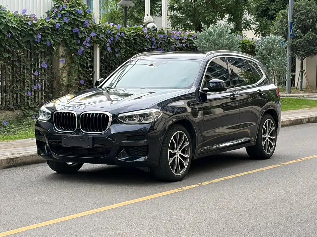 BMW X3 2021 xDrive30i Leading Type M Sport Package