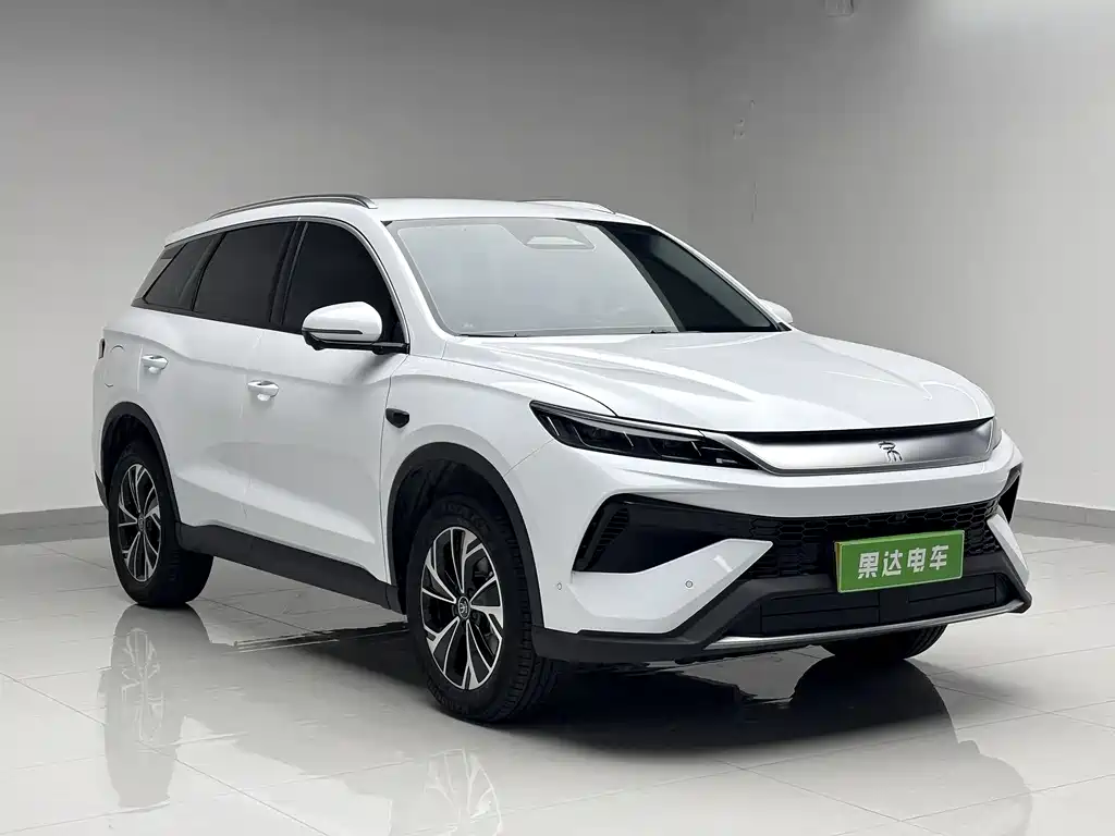BYD SONGJIANG NEW ENERGY