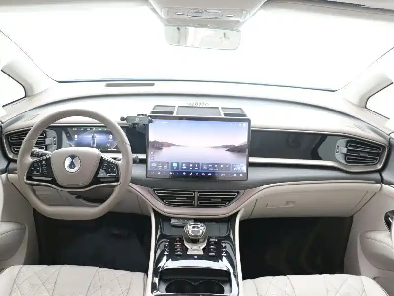 Denza Denza D9 — миниатюра 10