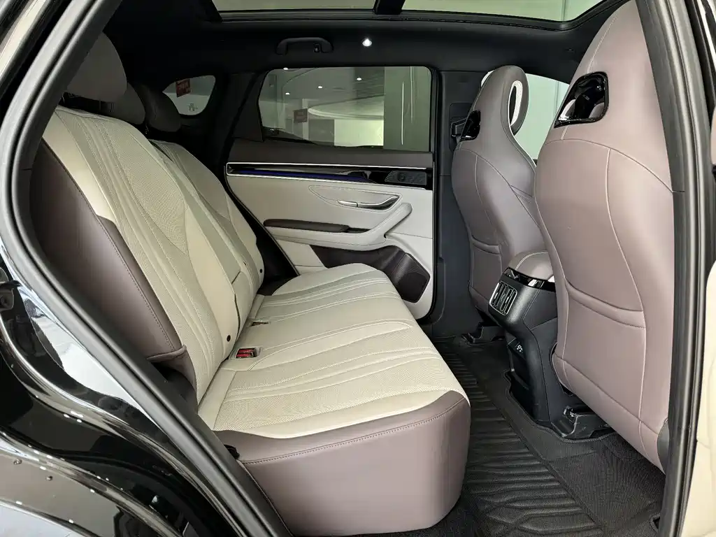 BYD SONGJIANG NEW ENERGY