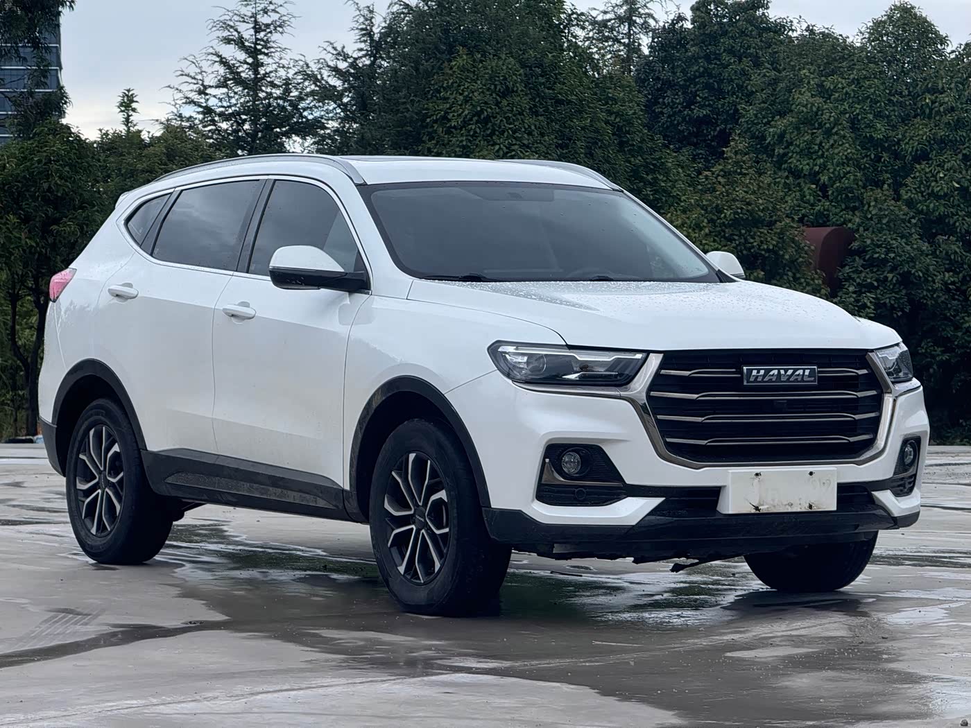 Haval Haval H6 1.5 л 2023 г. Белый, пробег 46800 км