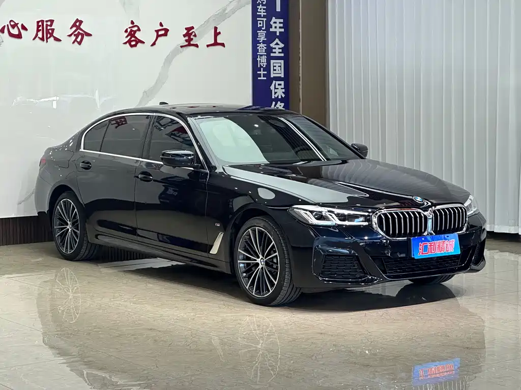 BMW 5 Series — миниатюра 3