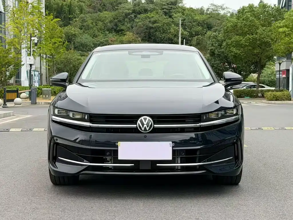 Volkswagen Magotan — миниатюра 2