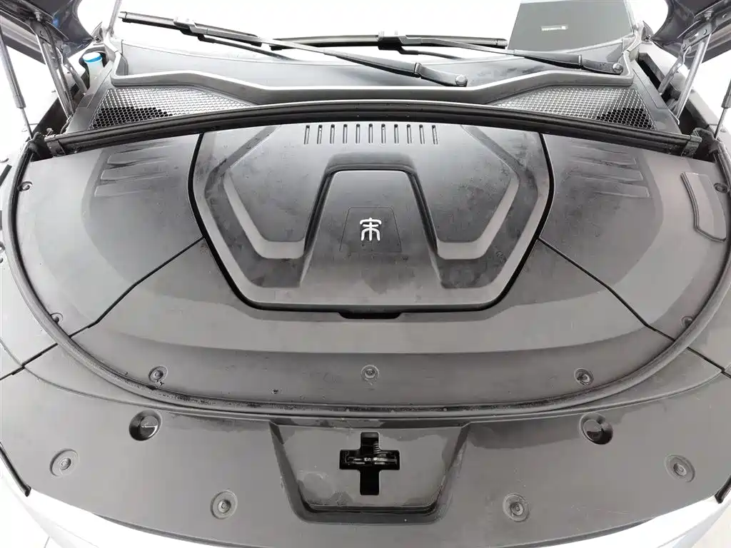 BYD SONGJIANG NEW ENERGY