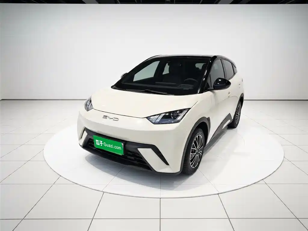 Byd Seagull 2024