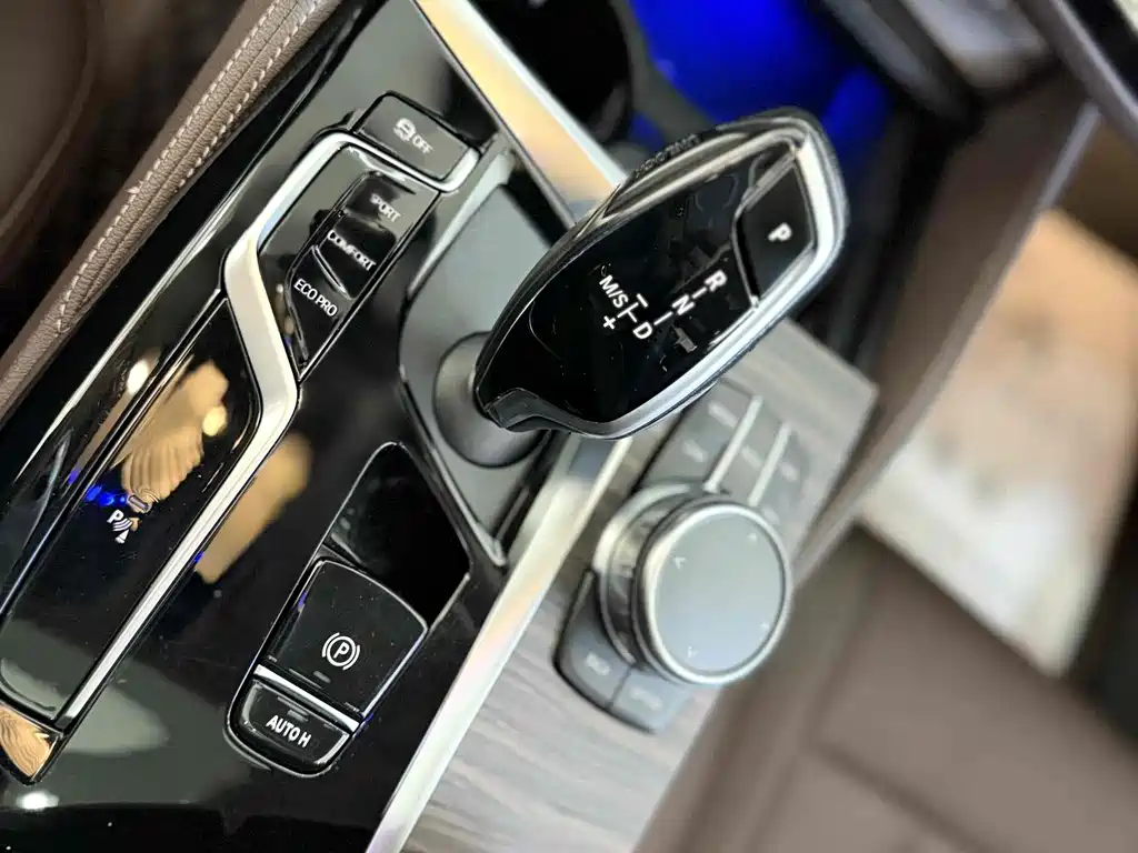 BMW 5 Series 5 2021 530Li xDrive Luxury