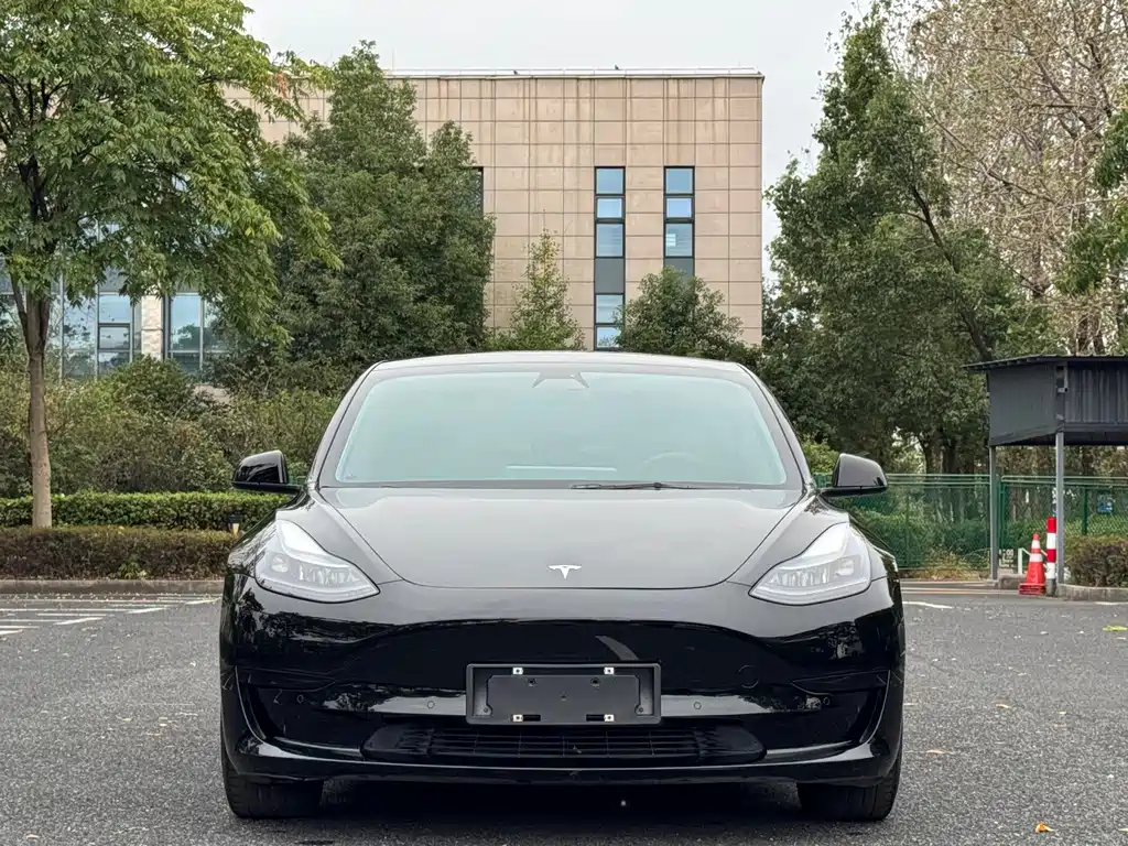 Tesla Model 3 — миниатюра 2