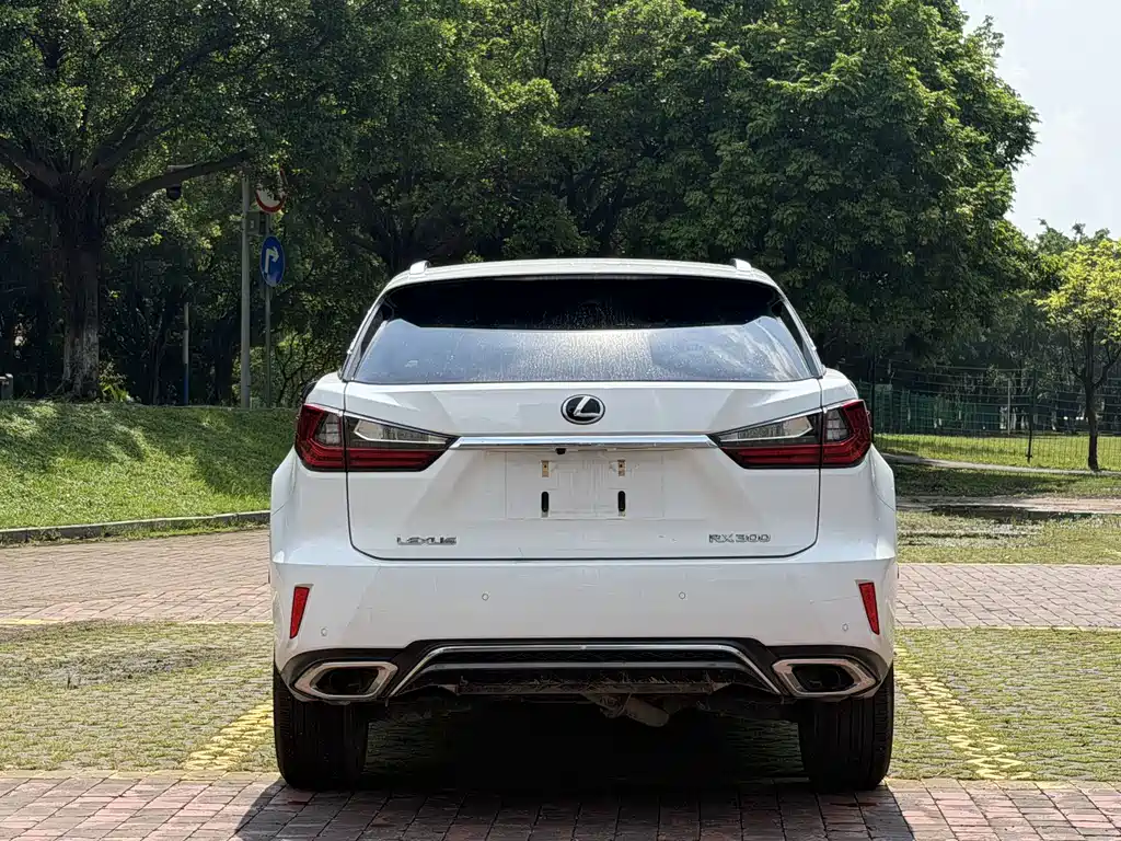 Lexus RX — миниатюра 5