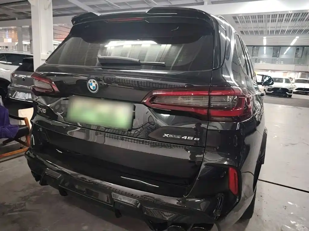 BMW X5 New Energy (Import) — миниатюра 7