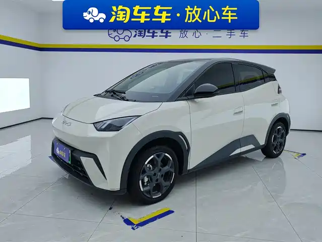BYD SEAGULL 2024