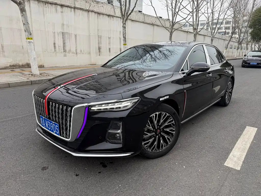 Hongqi Hongqi H5 2024