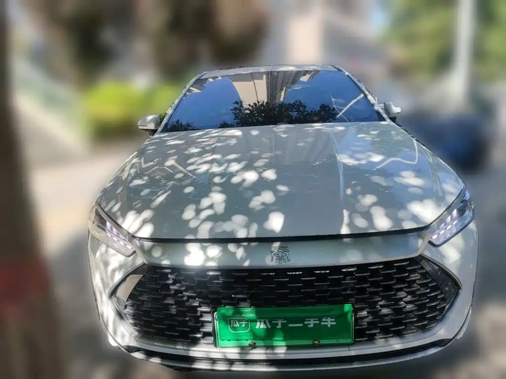 BYD Qin Plus PLUS 2023 Champion DM-i 55KM