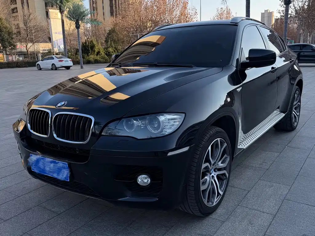 BMW X6 2009
