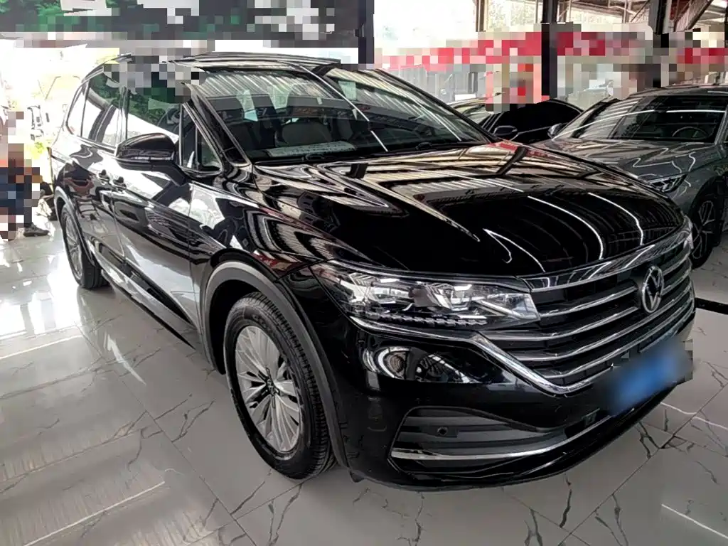 Volkswagen Viloran — миниатюра 4