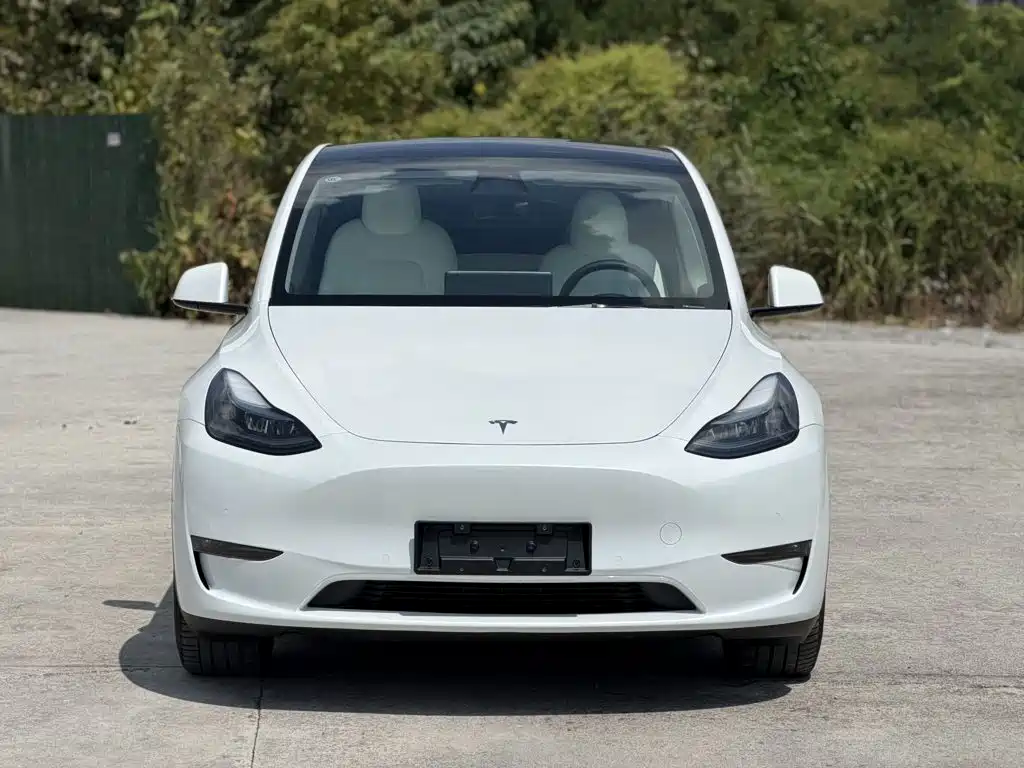 Tesla Model Y — миниатюра 3