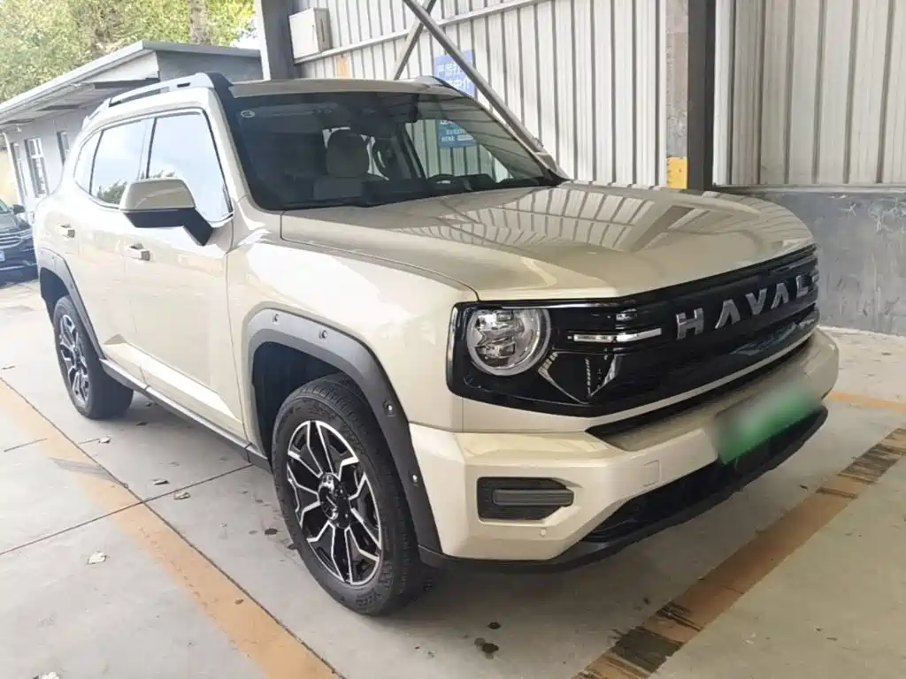 Haval Big Dog PLUS New Energy — миниатюра 4