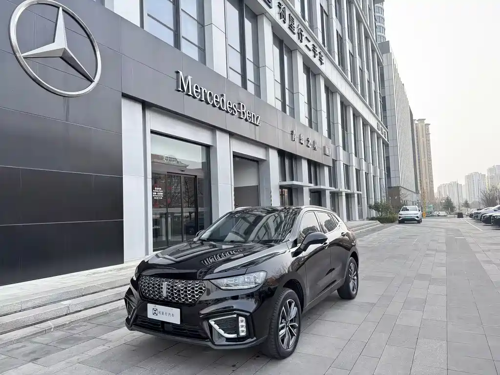 WEI PAI WEI BRAND VV5