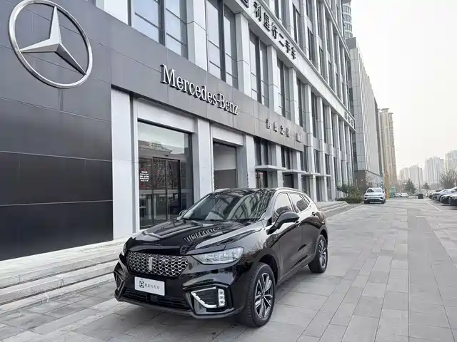 WEI PAI WEI BRAND VV5 2021