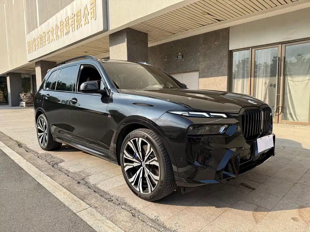 BMW X7 — миниатюра 3