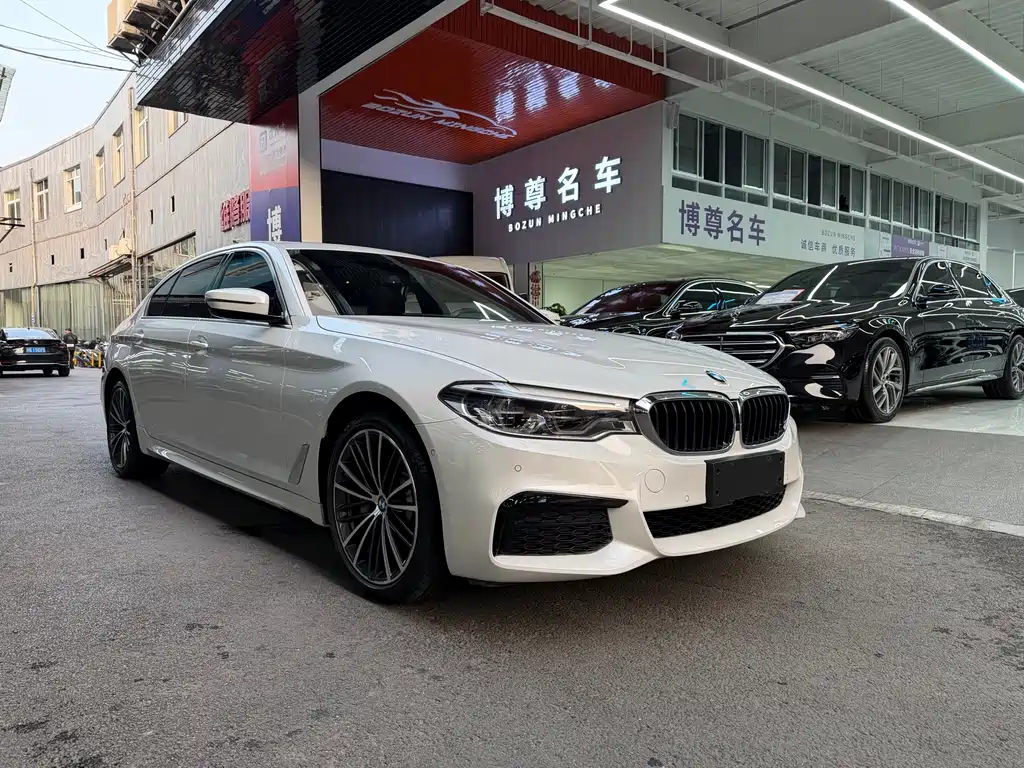 BMW 5 SERIES