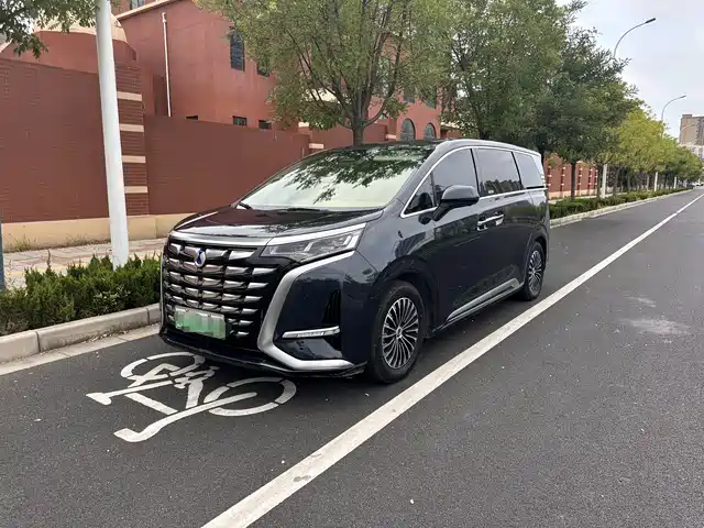 2023 Denza D9