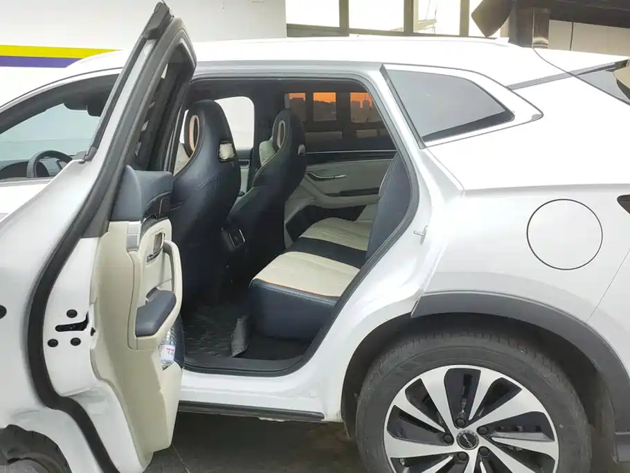 BYD PLUS New Energy — миниатюра 11