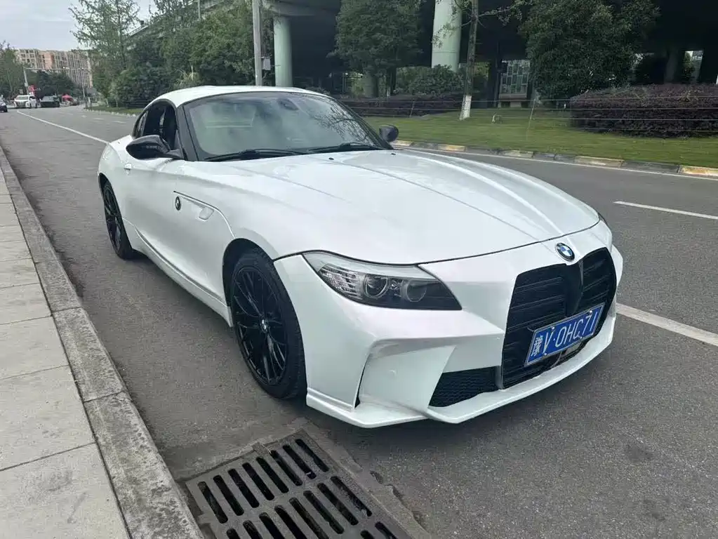 BMW Z4 2009 sDrive23i Lead