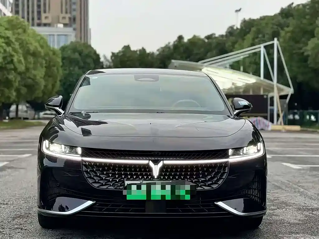 Voyah Passion 2024 PHEV Flagship