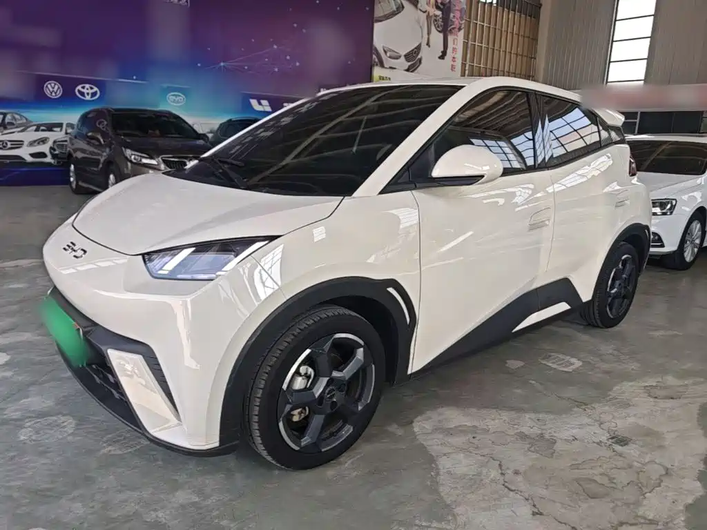 BYD Seagull 2023 Freedom