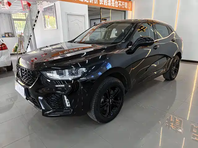 2019 Wey VV5