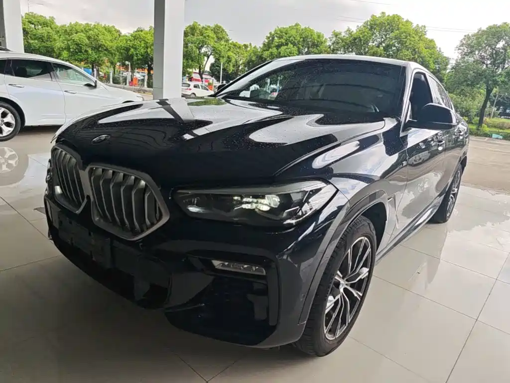 BMW X6 2020 xDrive30i M Sport