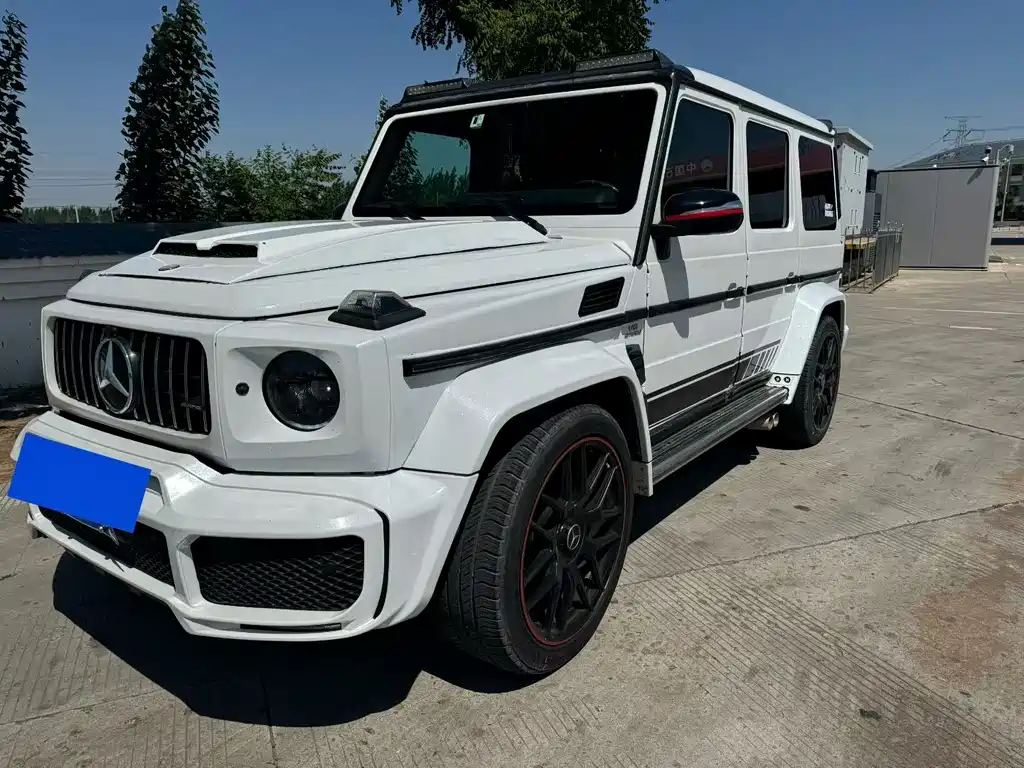 Mercedes-Benz G-Class 2010 G 500