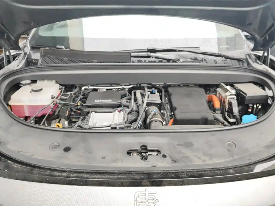 BYD Tang L L 2025 DM 200KM Flagship