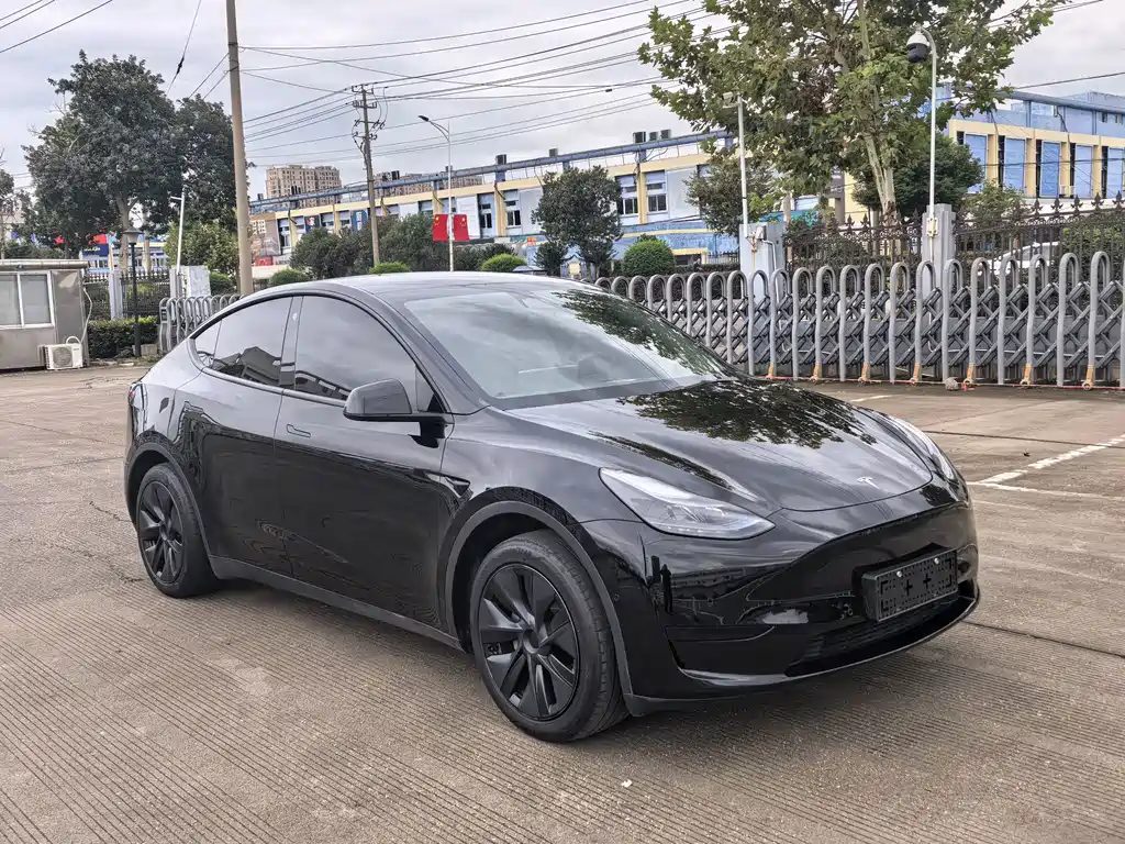 Tesla Model Y — миниатюра 3