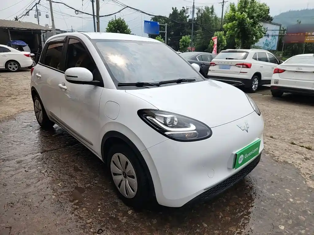 Wuling Binguo 2024 203km