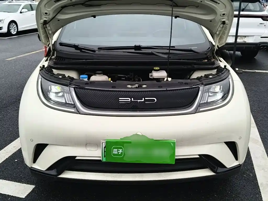 BYD Dolphin — миниатюра 20
