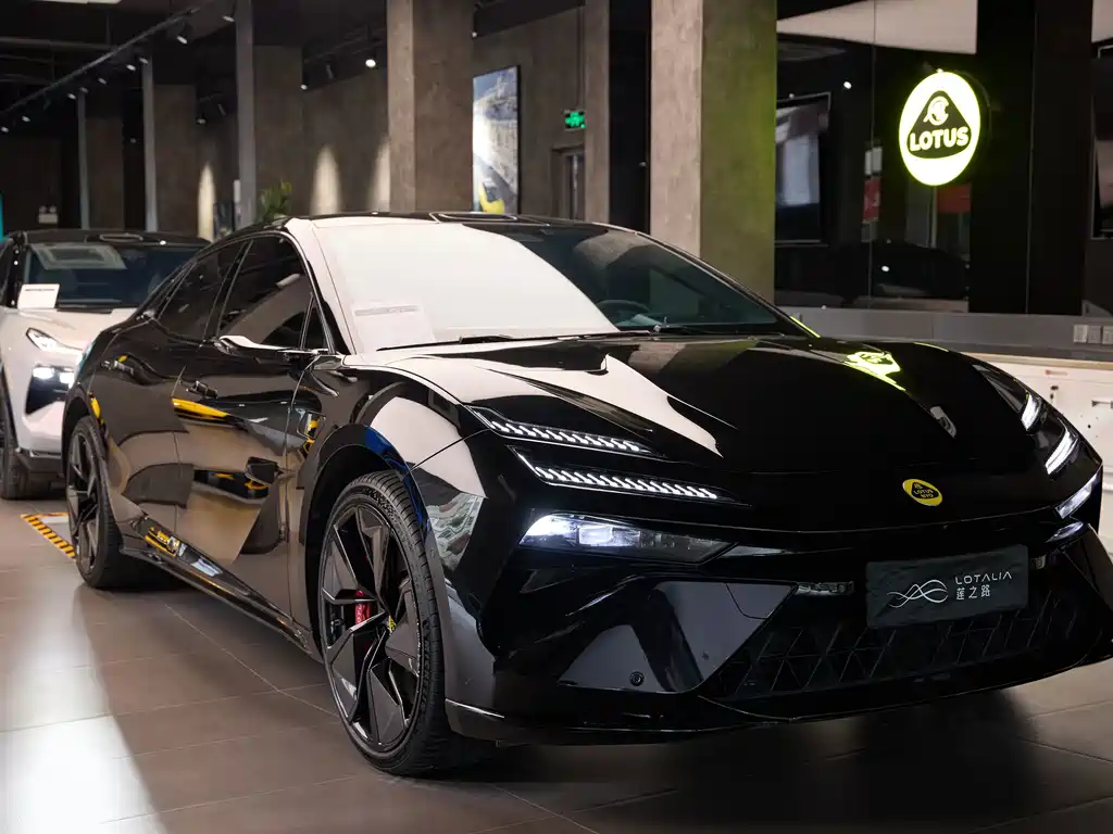 Lotus EMEYA — миниатюра 7