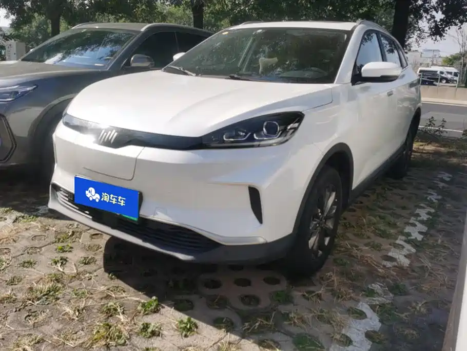 WM Motor EX5