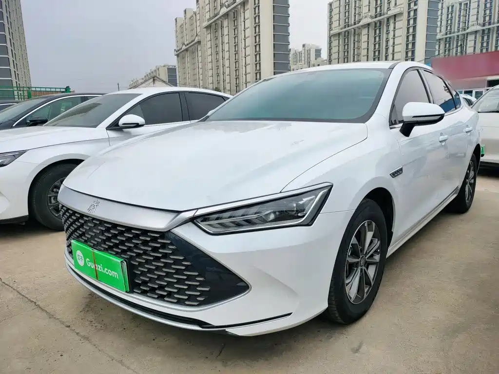 BYD Qin Plus PLUS 2024 DM-i 55KM Lead