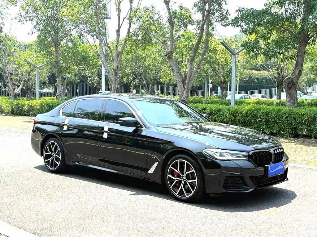 BMW 5 Series 5 2021 530Li Premium M Sport