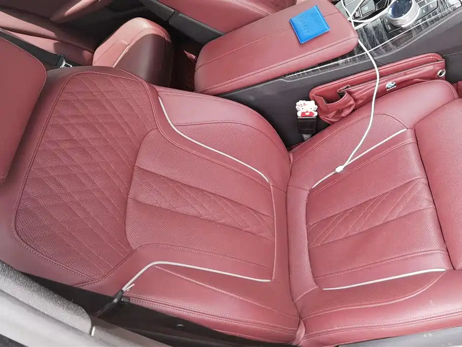 BMW 5 Series 5 2021 530Li Premium M Sport