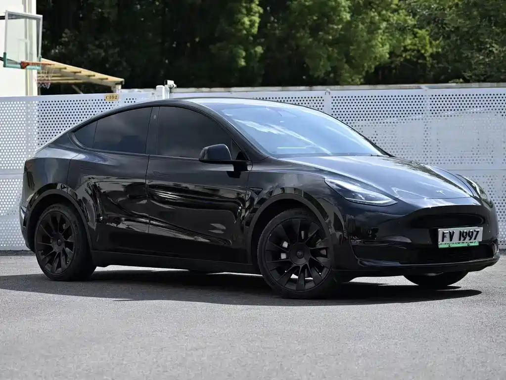 Tesla Model Y — миниатюра 12