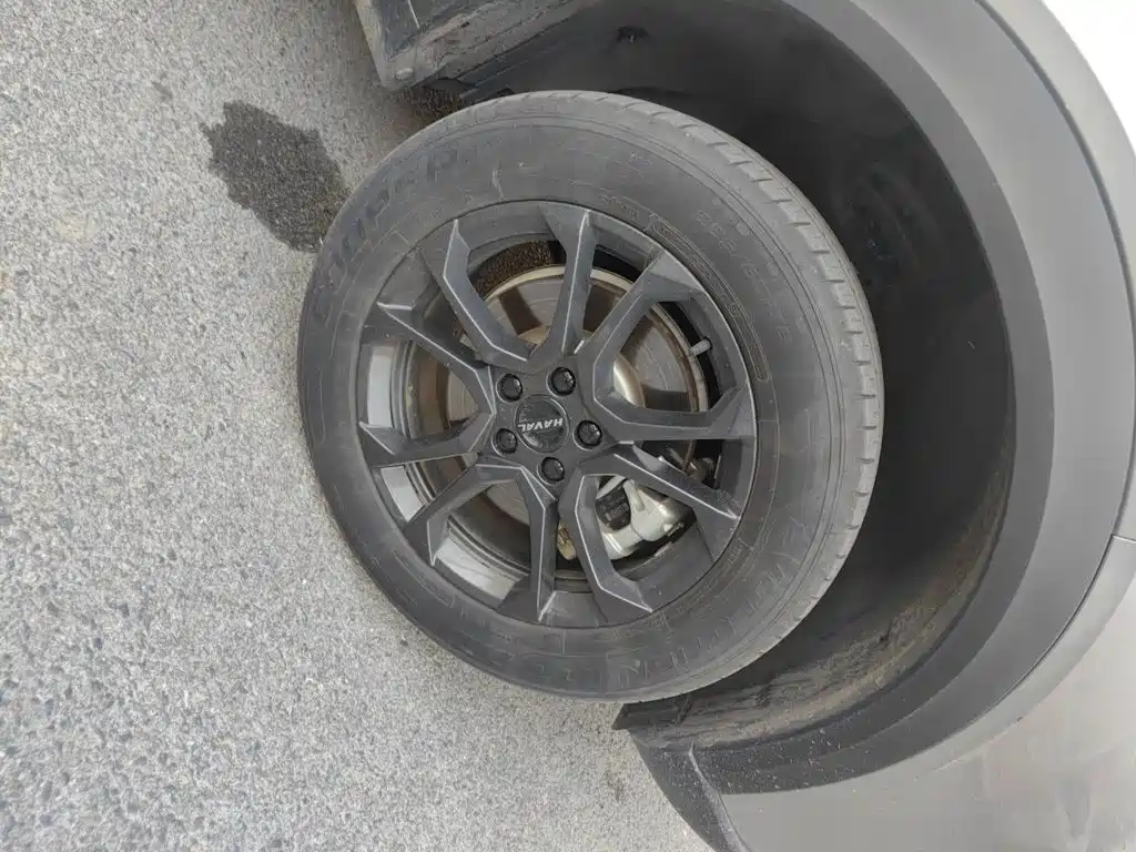 Haval Shenshou — миниатюра 8