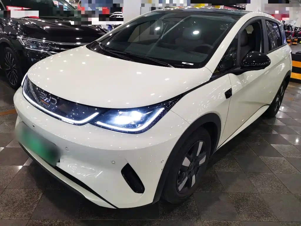 BYD Dolphin — миниатюра 2